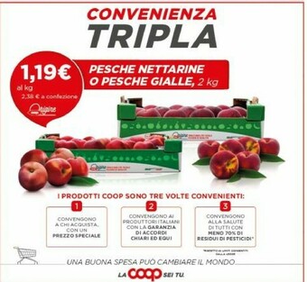 Coop Pesche Nettarine offerta