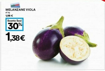 Coop Melanzane Viola offerta