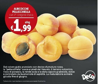 Deco Supermercati Albicocche Pellecchiella offerta