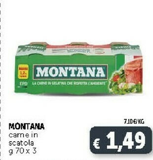 Deco Supermercati Montana Carne In Scatola 210 G offerta