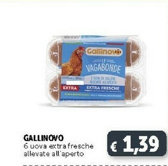 Gallinovo 6 Uova Extra Fresche Allevate All'aperto