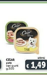 Deco Supermercati Casar Pate Cane offerta