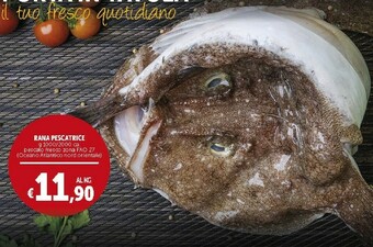 Rana Pescatrice