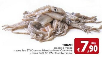 Deco Supermercati Totano Pescato Fresco offerta