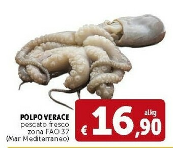 Deco Supermercati Polpo Verace Pescato Fresco offerta