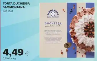 Tigre Sammontana Torta gelato offerta