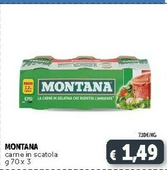 Deco Supermercati Montana Carne In Scatola offerta