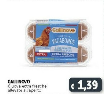 Gallinovo 4 Uova Fresche Da Allevamento A Terra