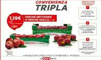 Coop Coop Pesche Nettarine O Pesche Gialle offerta