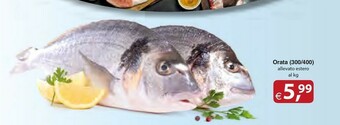 Docks Cash&Carry Orata offerta