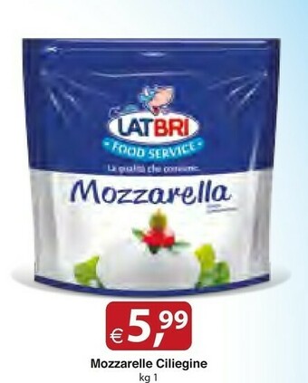 Docks Cash&Carry Latbri Mozzarella offerta