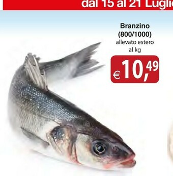 Docks Cash&Carry Branzino offerta