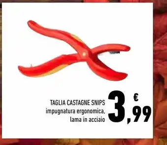 Conad Superstore Tagliacastagne snips offerta