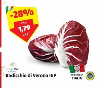 ALDI Radicchio di verona igp offerta