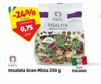 ALDI Insalata gran mista offerta