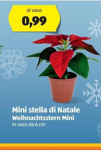 ALDI Mini stella di natale offerta