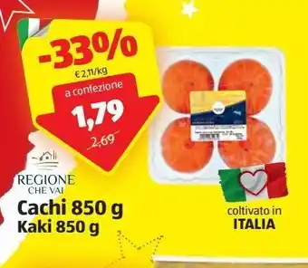 ALDI Cachi 850 g offerta