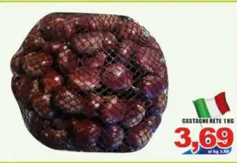 Castagne Rete 1 Kg