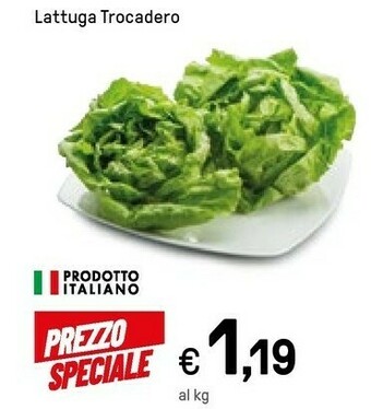 Iper La Grande Lattuga offerta