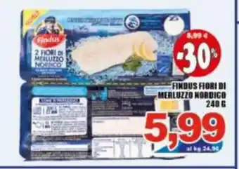 Gros Findus Filetti di Merluzzo Nordico 240 g offerta
