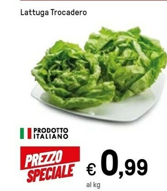 Iper La Grande Lattuga offerta