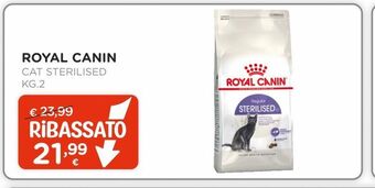 Arcaplanet Royal canin cat sterilised 2kg offerta
