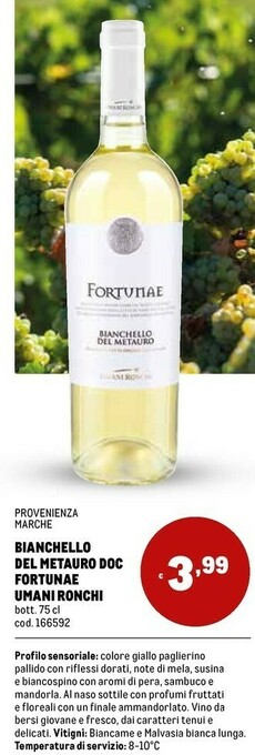 Metro Vino bianco offerta