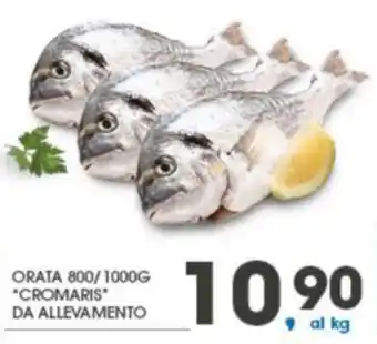Eurospar Orata 800/1000g "Cromaris" da Allevamento offerta