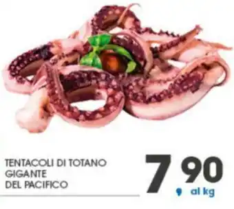 Tentacoli di Totano Gigante del Pacifico