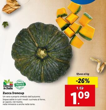 Lidl Zucca ironcup offerta