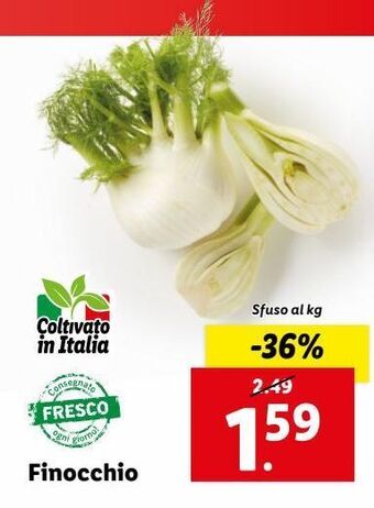 Lidl Finocchio offerta