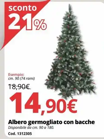 Albero germogliato con bacche