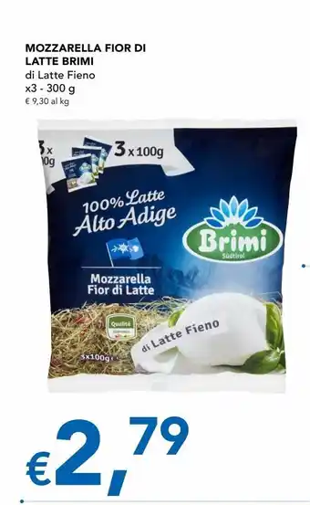 Mozzarella fior di latte brimi