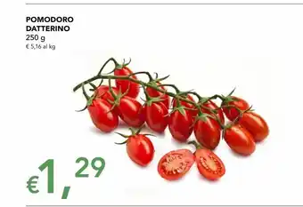 Pomodoro datterino