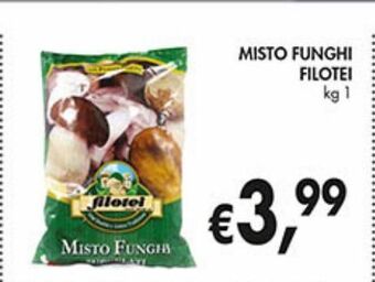 Misto funghi filotei
