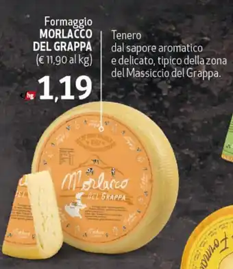 Morlacco del Grappa Formaggio
