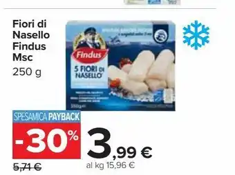 Carrefour Market Fiori di nasello findus 250g offerta