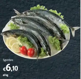 Sgombro
