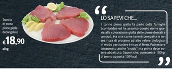 Trancio di tonno pinne gialle decongelato