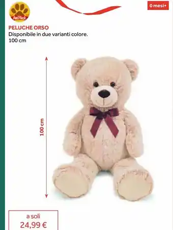 Peluche orso