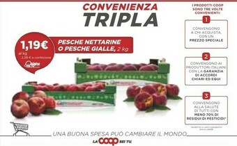Coop Coop Pesche Nettarine O Pesche Gialle offerta