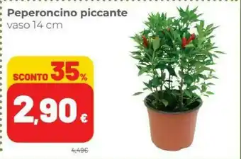 Coop Peperoncino Piccante Vaso offerta
