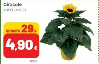 Coop Girasole offerta