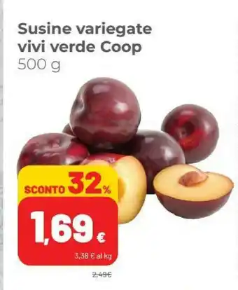 Coop Coop Susine Variegate Vivi Verde offerta