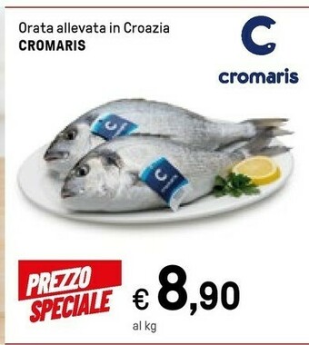 Cromaris Orata Allevata In Croazia