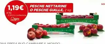 Coop Coop Pesche Nettarine offerta