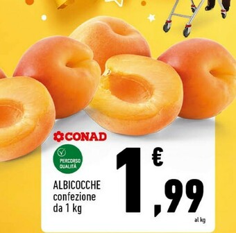 Conad City Conad Albicocche offerta