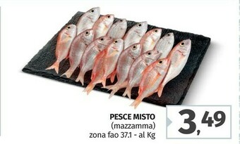 Pam Pesche offerta