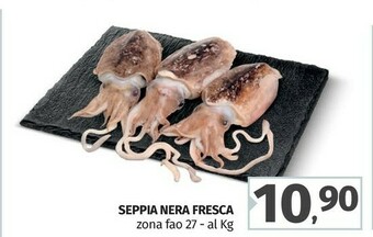 Pam Pesche offerta