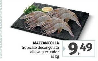 Pam Mazzancolle offerta